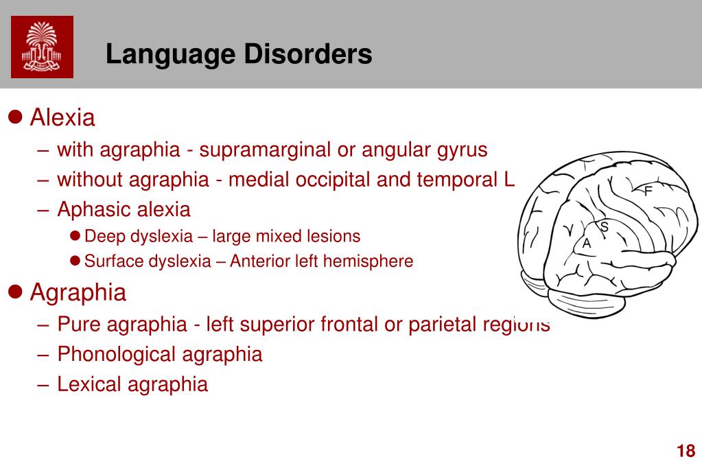 PPT Chapter 19 Higher mental functions PowerPoint Presentation, free