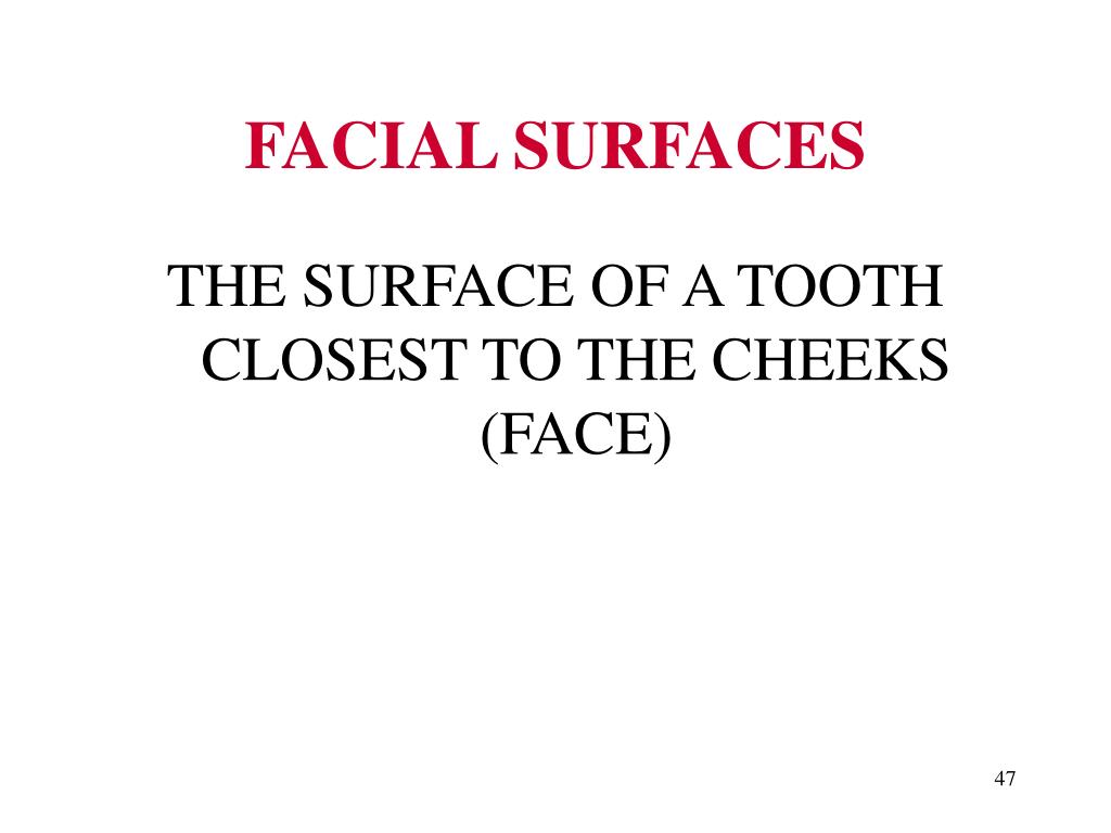 PPT Dental Morphology and Vocabulary PowerPoint Presentation, free