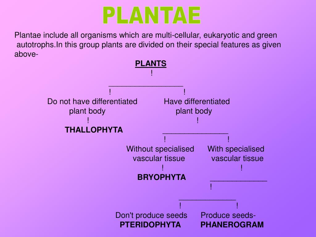 PPT DIVERSITY IN LIVING ORGANISMS PowerPoint Presentation, free