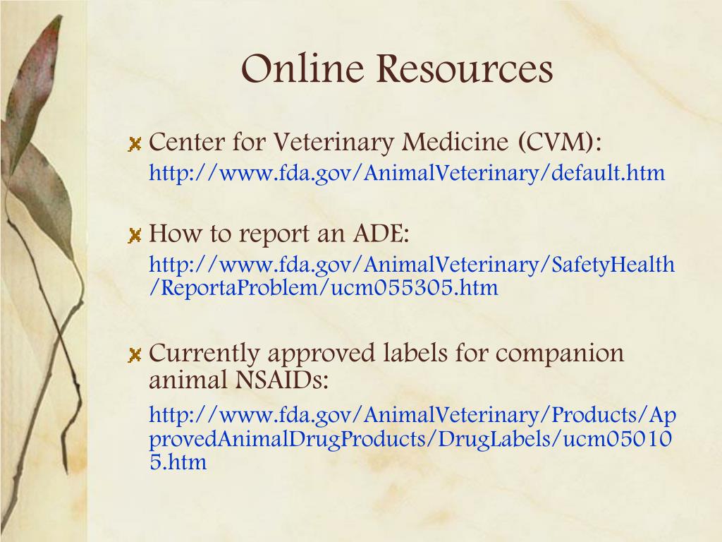PPT A Practical Guide to Companion Animal Prescription Drug Labeling