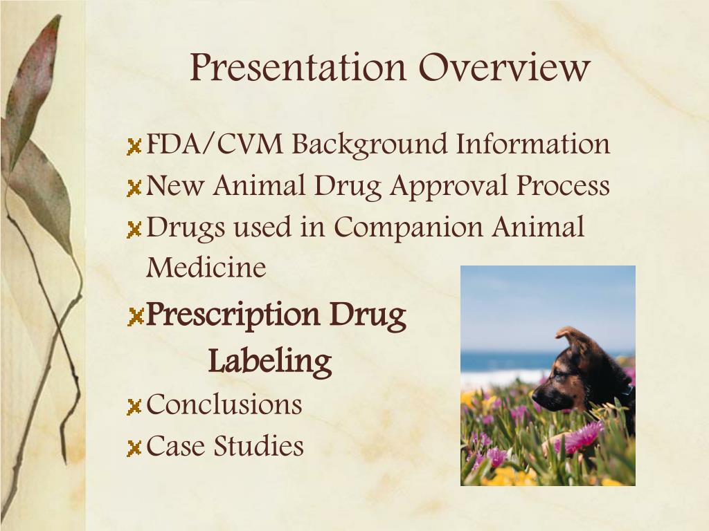 PPT A Practical Guide to Companion Animal Prescription Drug Labeling