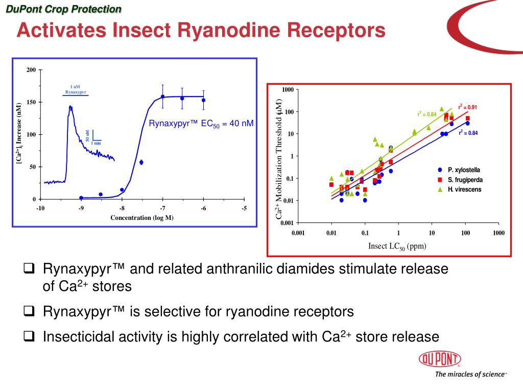 PPT Altacor ™ WG Insecticide ( DPXE2Y45) Introducing a Novel