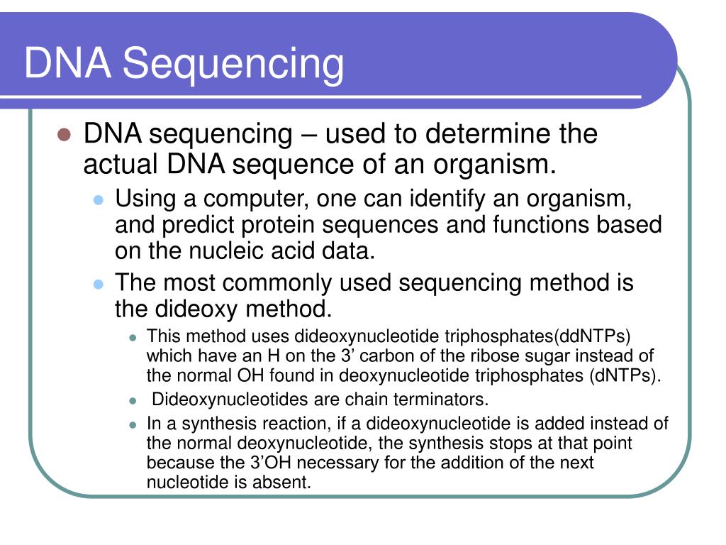 PPT DNA Sequencing PowerPoint Presentation, free download ID395701