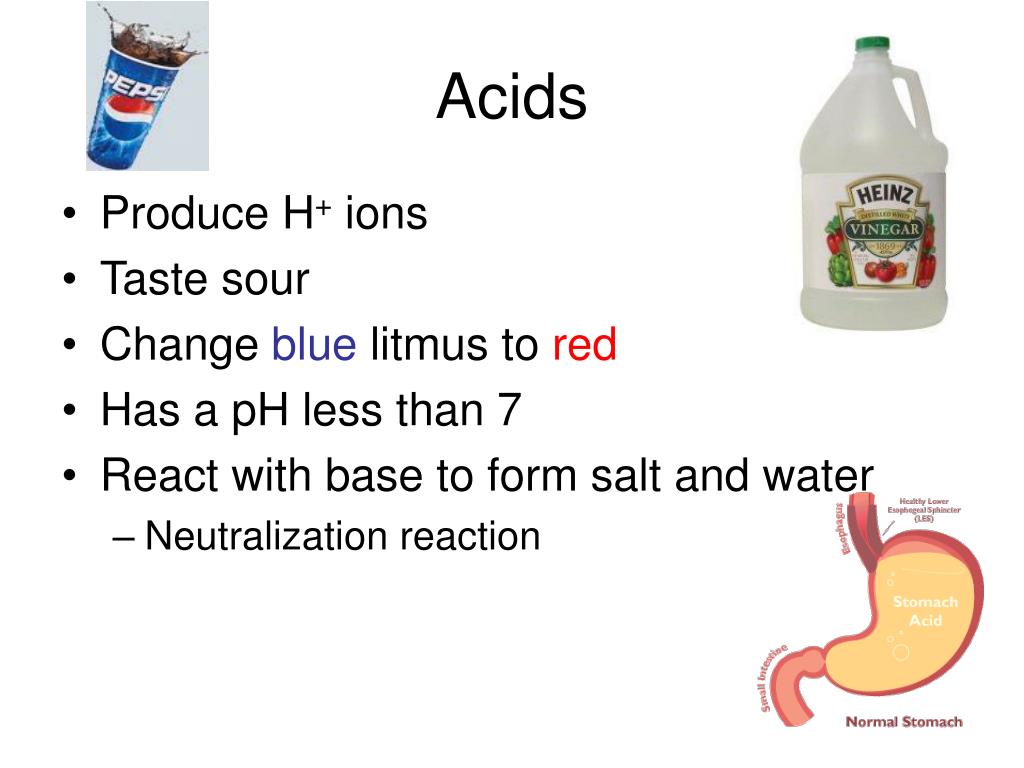 PPT Meat tenderizer contains an enzyme that interacts with meat. If