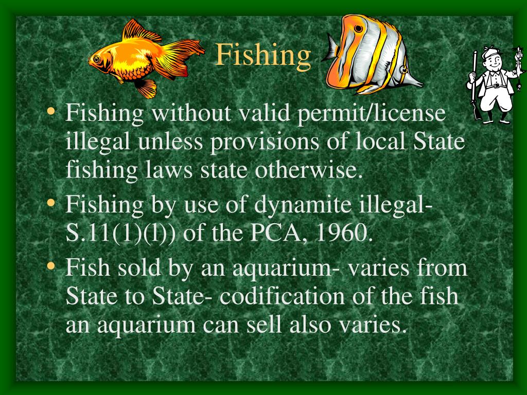 PPT ANIMALS & THE LAW PowerPoint Presentation, free download ID39660