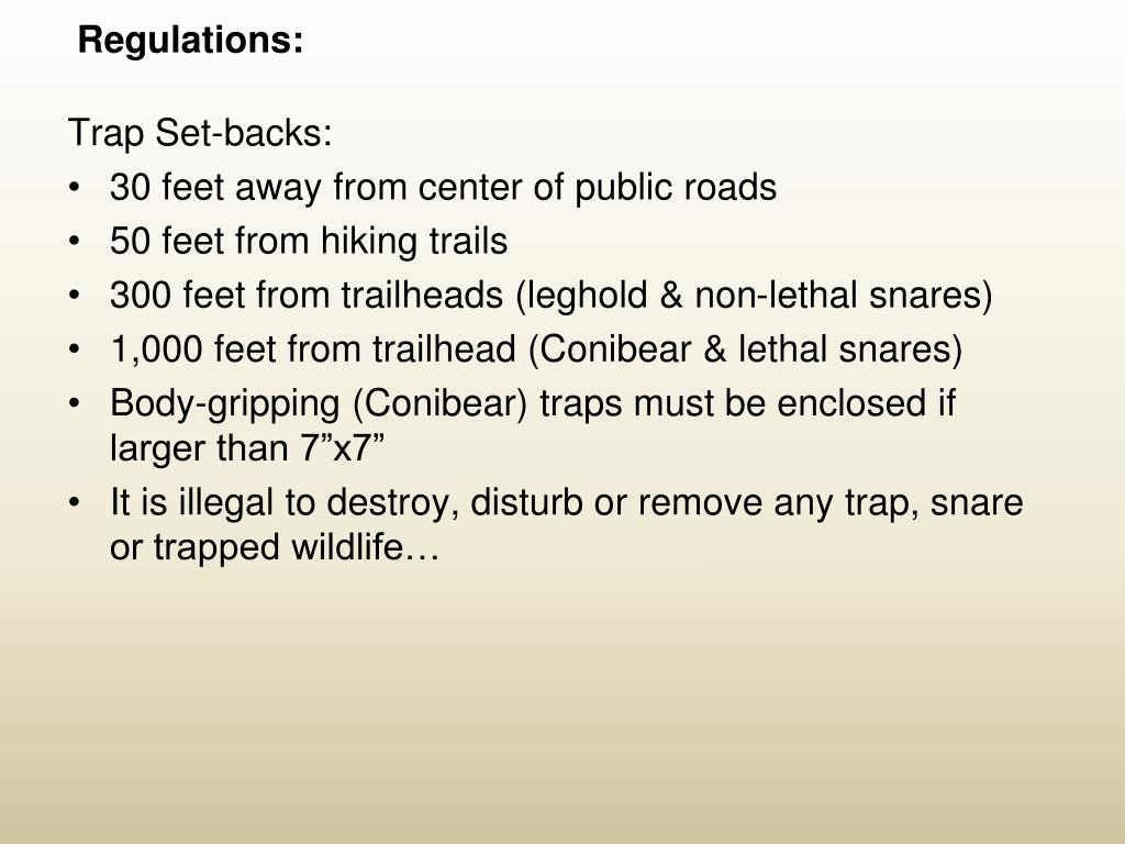 PPT Footloose Montana PowerPoint Presentation, free download ID39669