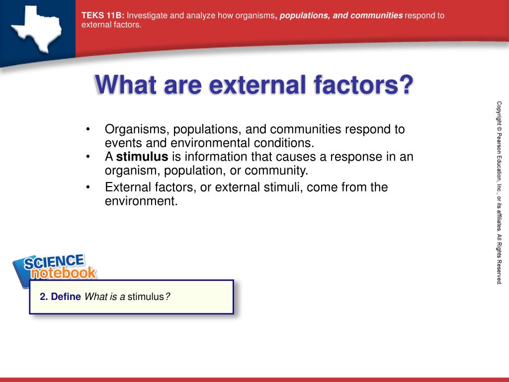 PPT What are populations and communities? PowerPoint Presentation