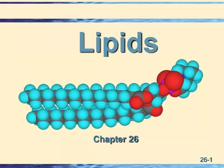 PPT Lipids PowerPoint Presentation ID401966