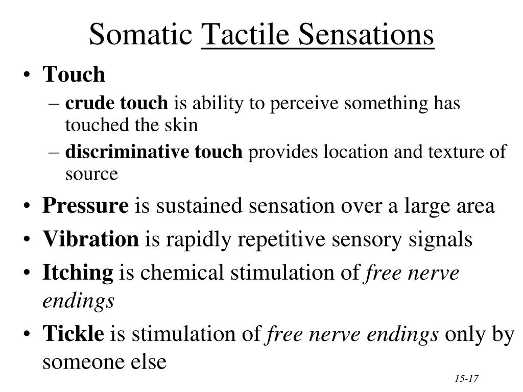 PPT Chapter 16 Sensory, Motor & Integrative Systems PowerPoint