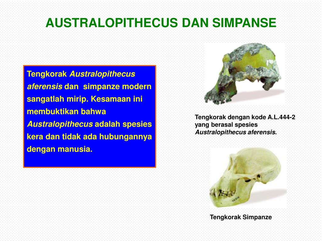 PPT TEORI EVOLUSI ? PowerPoint Presentation, free