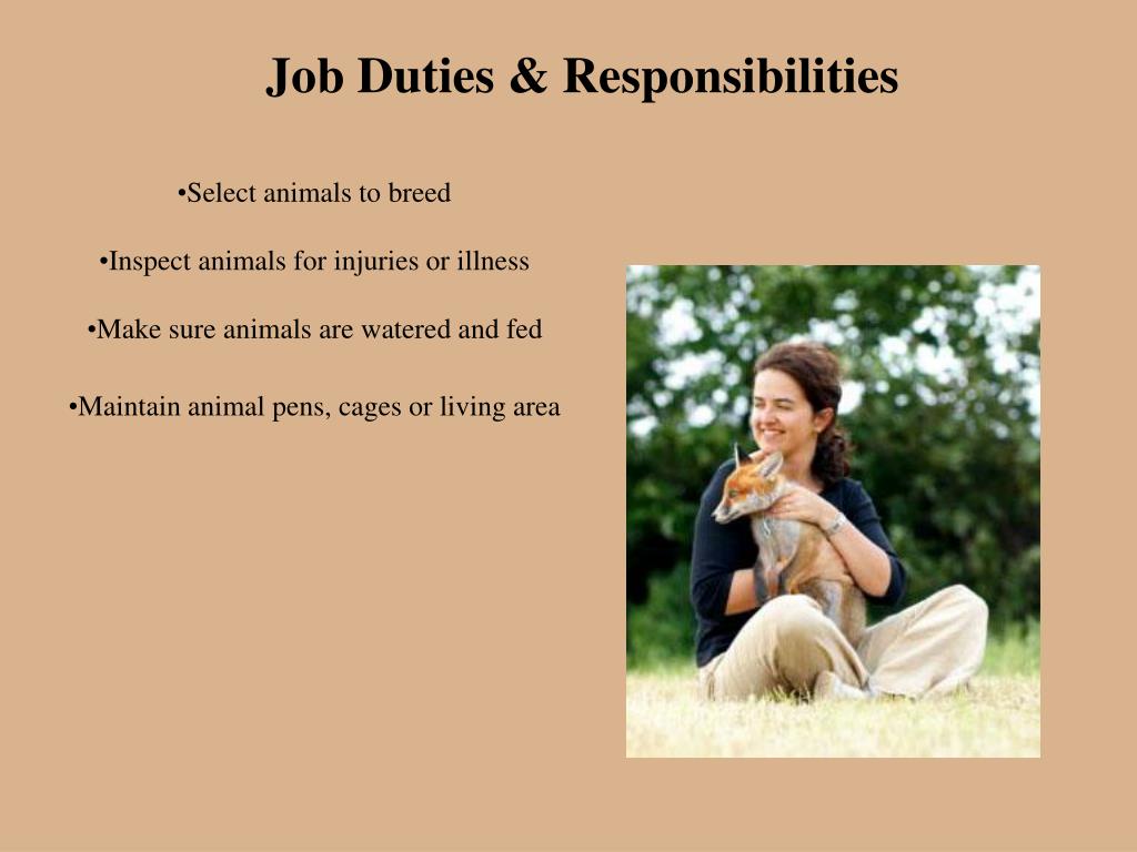 PPT Small Animal Breeder PowerPoint Presentation, free download ID