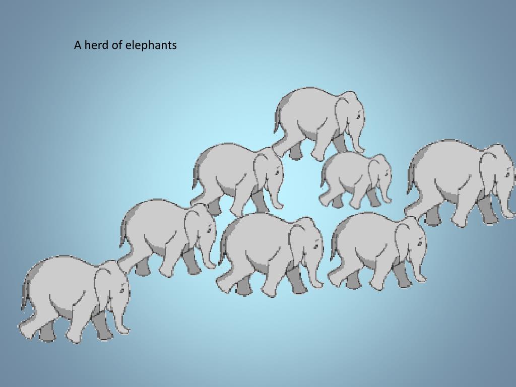 PPT Collective Nouns PowerPoint Presentation, free download ID409238