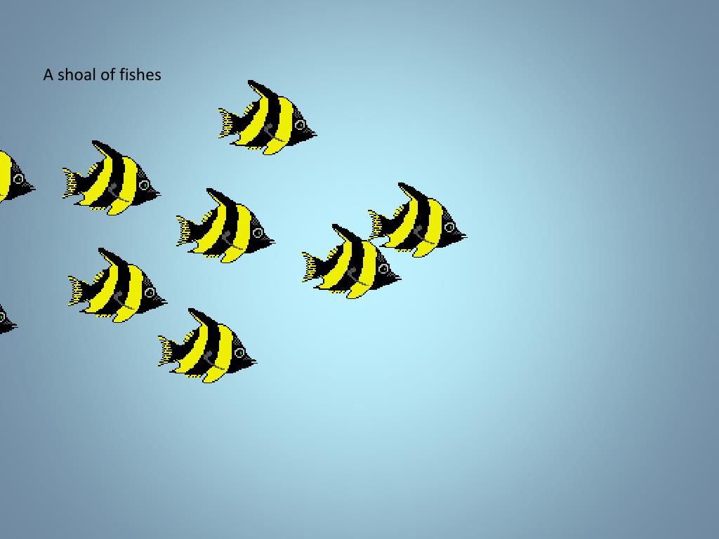 PPT Collective Nouns PowerPoint Presentation, free download ID409238