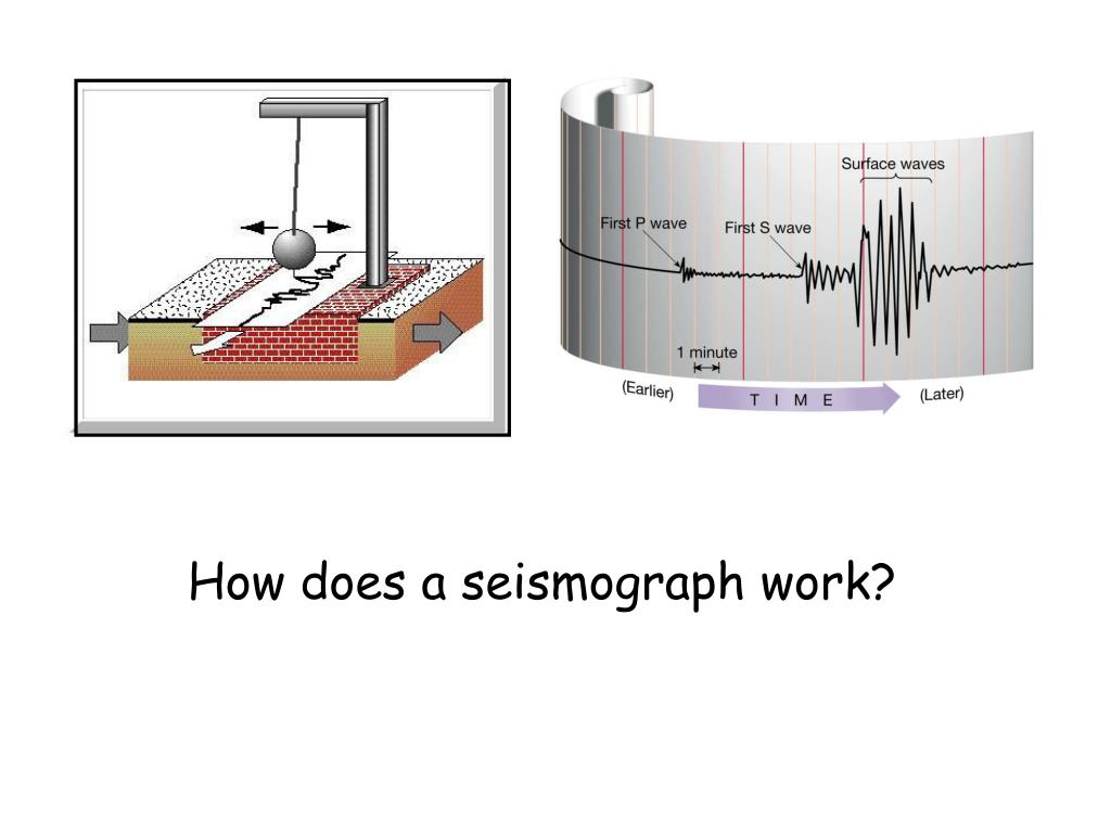 PPT Seismology = The study of seismic waves. Seismograph = Instrument
