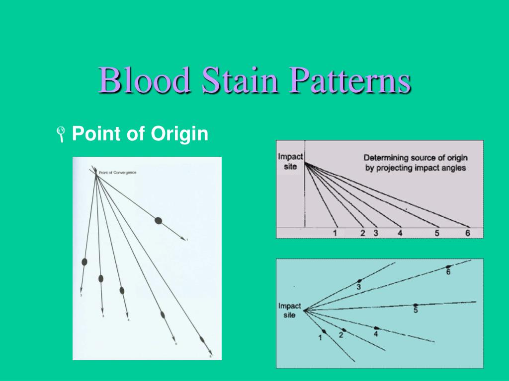 PPT Lecture Forensic Serology PowerPoint Presentation, free download