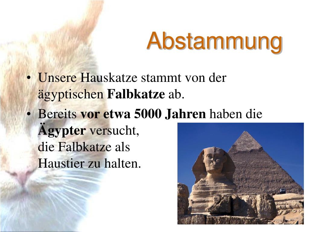 PPT Die Katze PowerPoint Presentation, free download ID414036