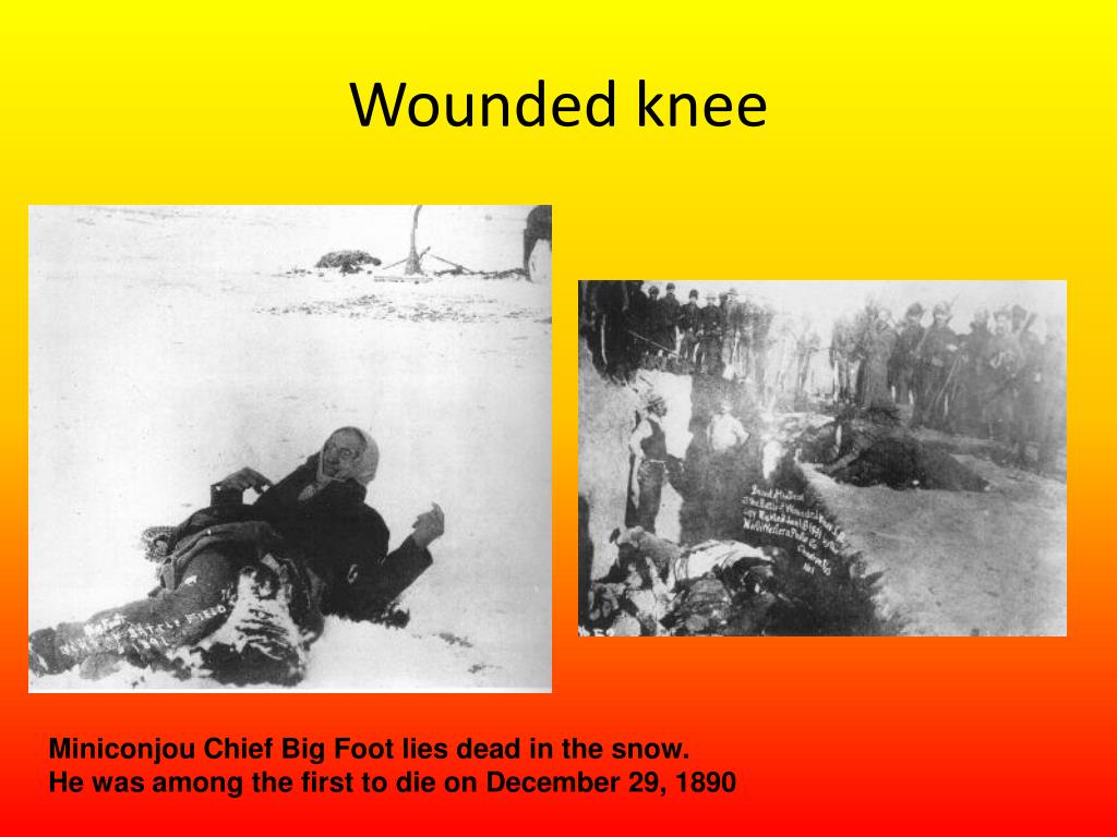 PPT Westward Expansion PowerPoint Presentation, free download ID415593