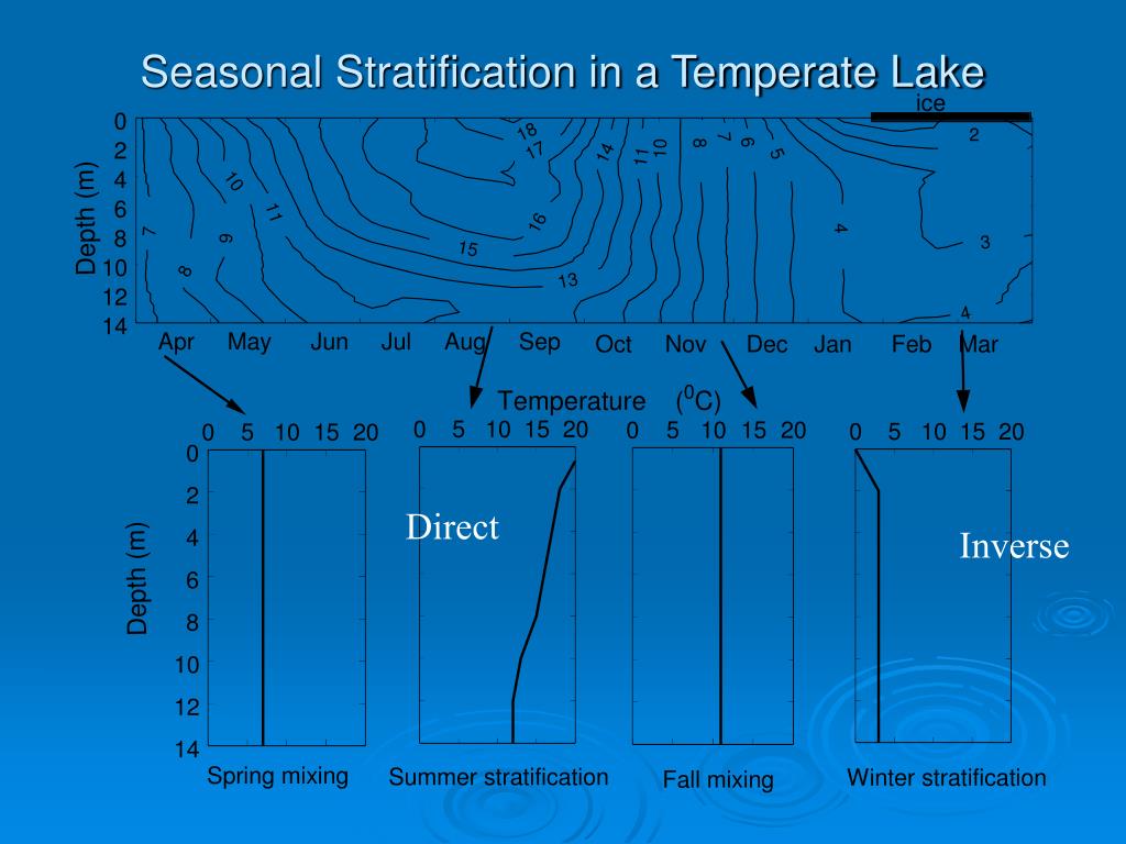 PPT Light in Lakes PowerPoint Presentation, free download ID416907