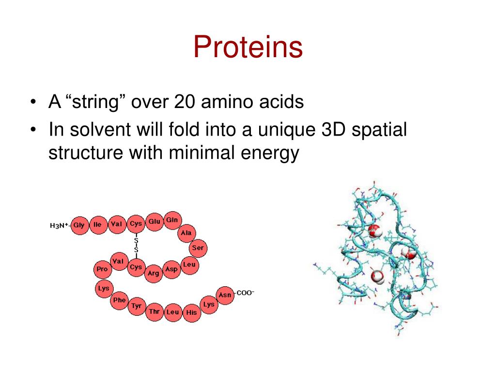 PPT The Inverse Protein Folding Problem* PowerPoint Presentation