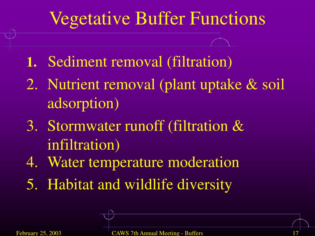 PPT The White Paper PowerPoint Presentation, free download ID417217