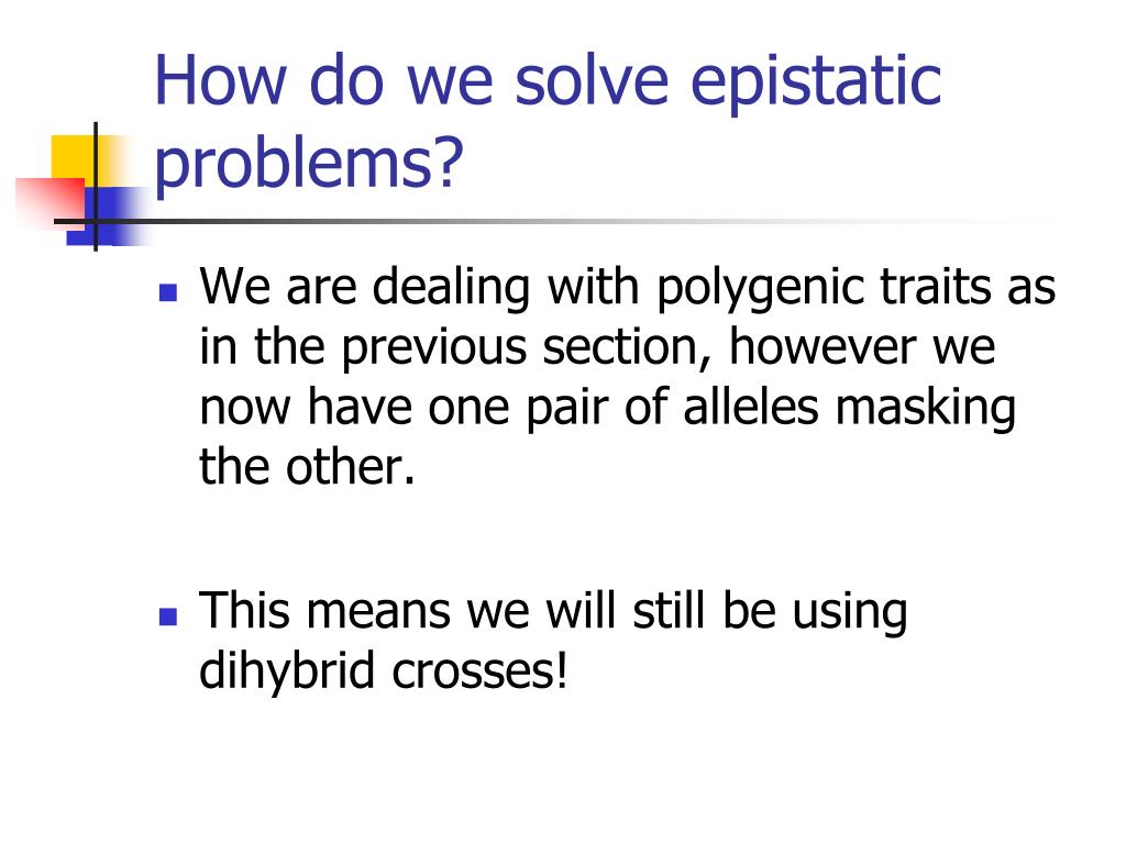 PPT Epistasis PowerPoint Presentation ID425593