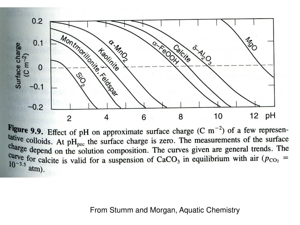 PPT Particle size PowerPoint Presentation, free download ID426083