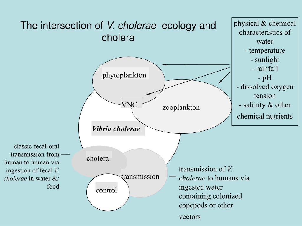 PPT Water and Infectious Disease Waterborne Disease PowerPoint