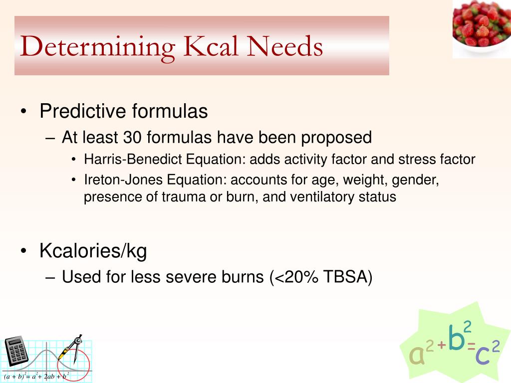 PPT Nutritional Needs of the Burn Patient PowerPoint Presentation