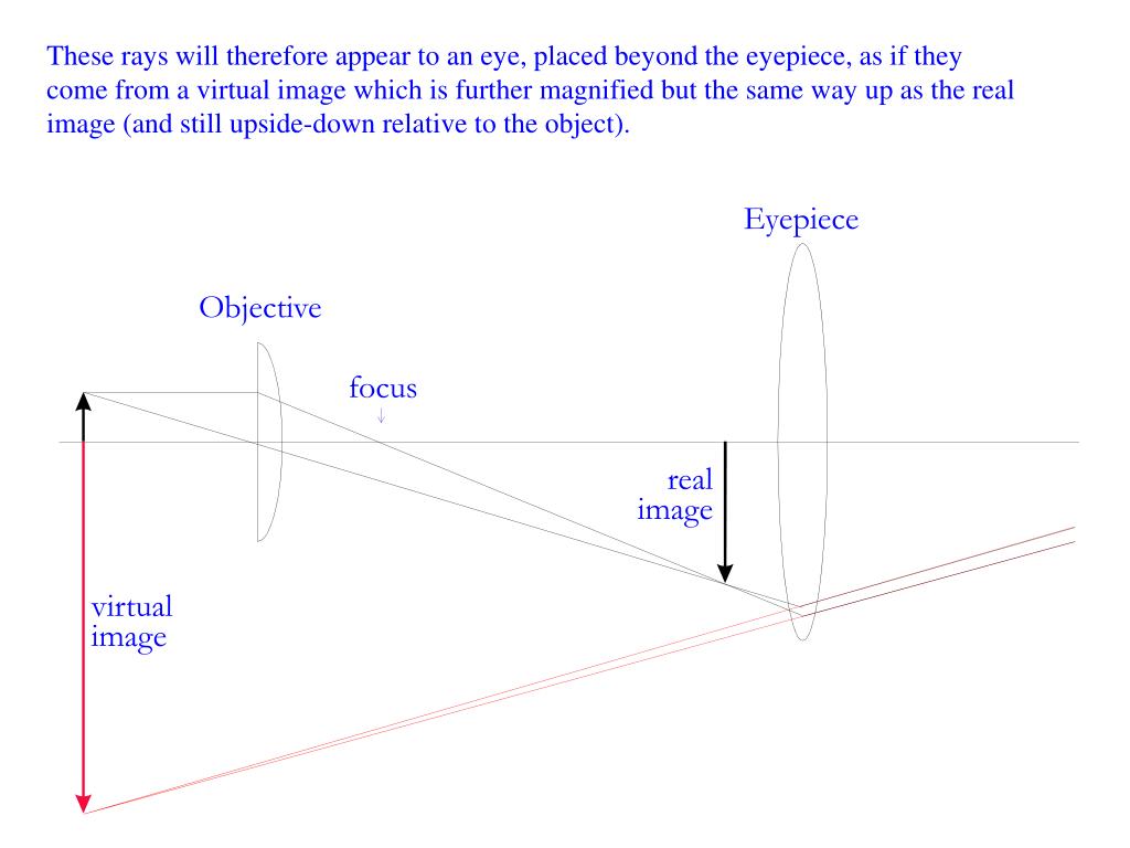 PPT Introduction to optical microscopy PowerPoint Presentation, free