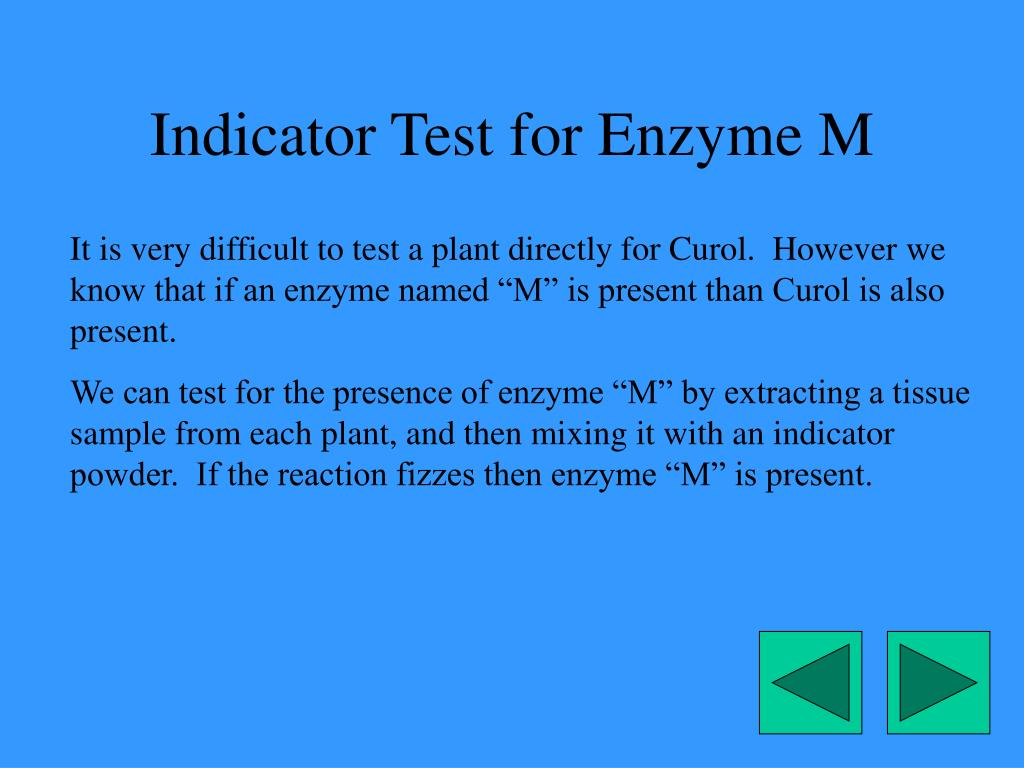 PPT Simulated Lab Interaction and Biodiversity PowerPoint