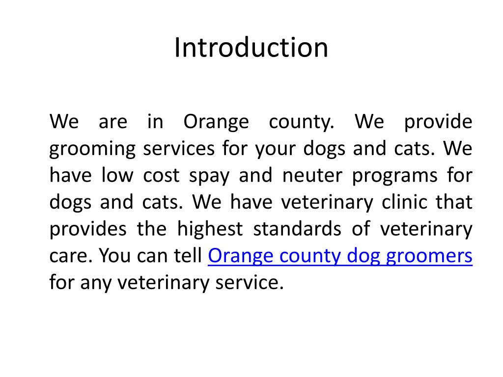 PPT Orange County Dog Groomers PowerPoint Presentation, free download