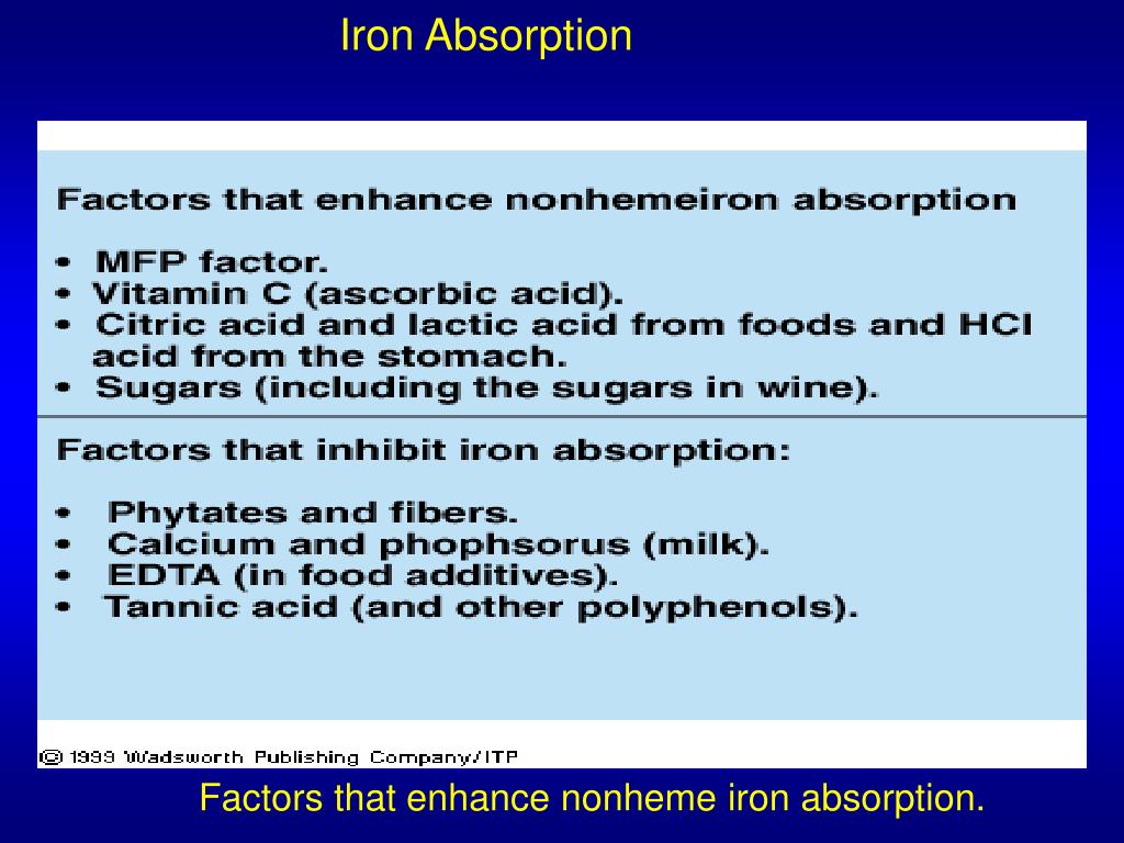 PPT Understanding Nutrition PowerPoint Presentation, free download