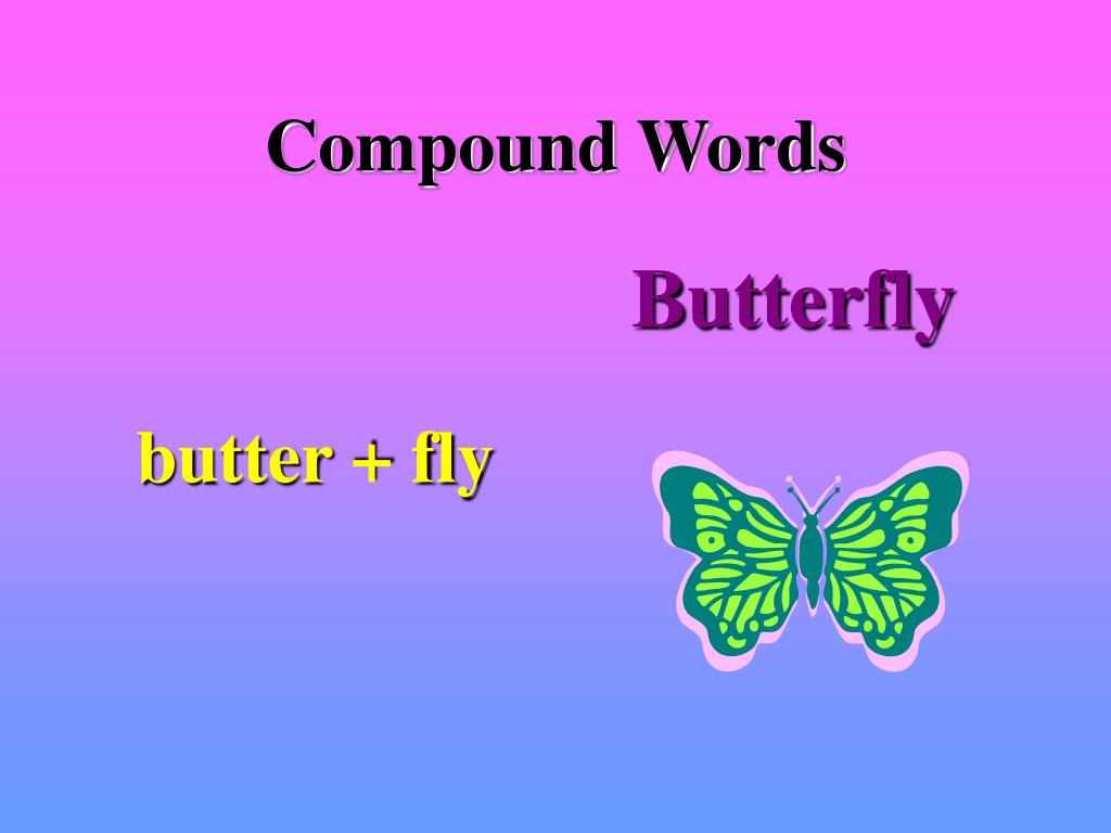 Is Compound Word Butterfly at Eloise Martin blog