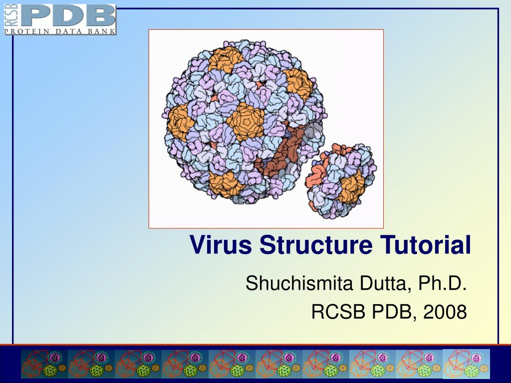 PPT - Virus Structure Tutorial PowerPoint Presentation, free download