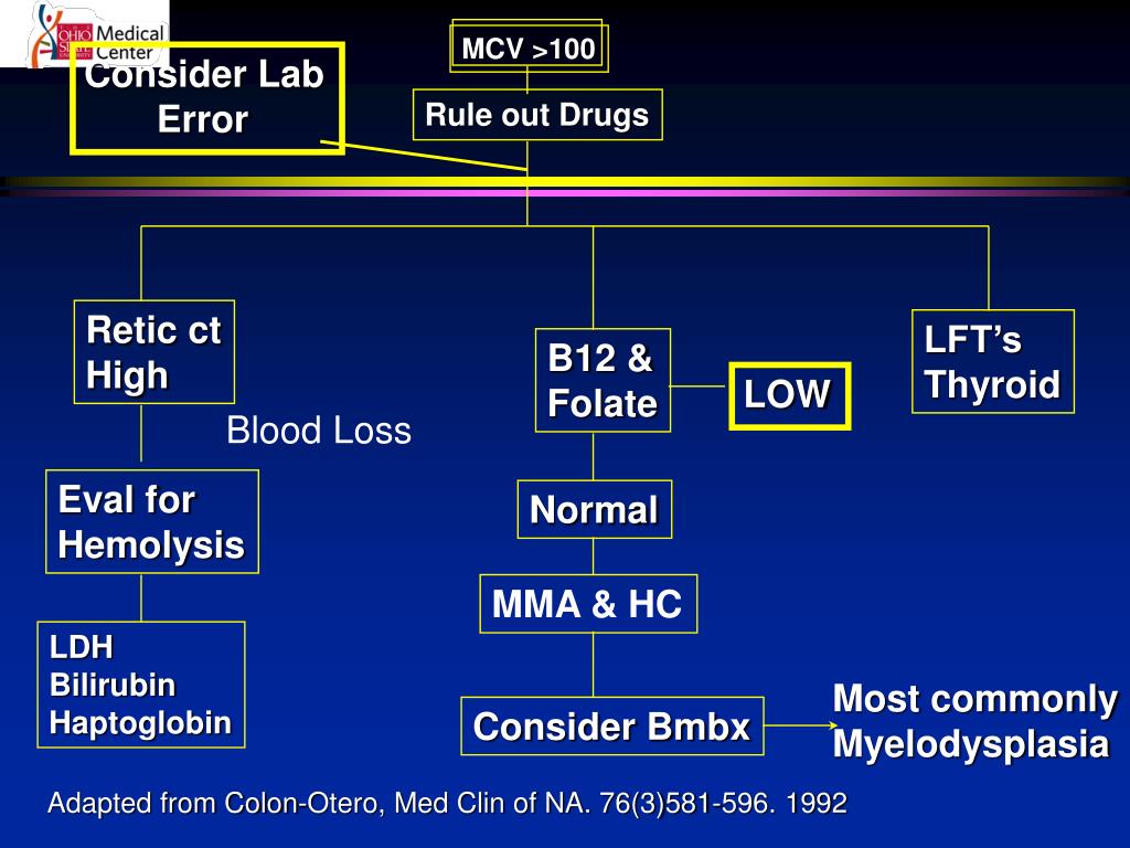 PPT Practical Utilization of the Complete Blood Count PowerPoint