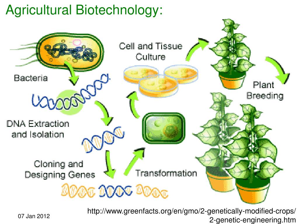 Biocatalysis And Agricultural Biotechnology It's Time for