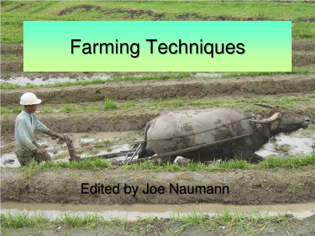 PPT Farming Techniques PowerPoint Presentation, free download ID436527