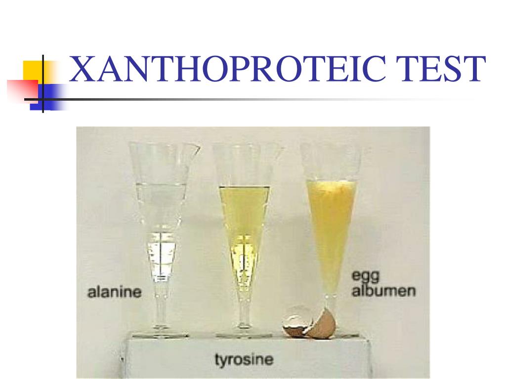 PPT PROTEINS PowerPoint Presentation, free download ID437046