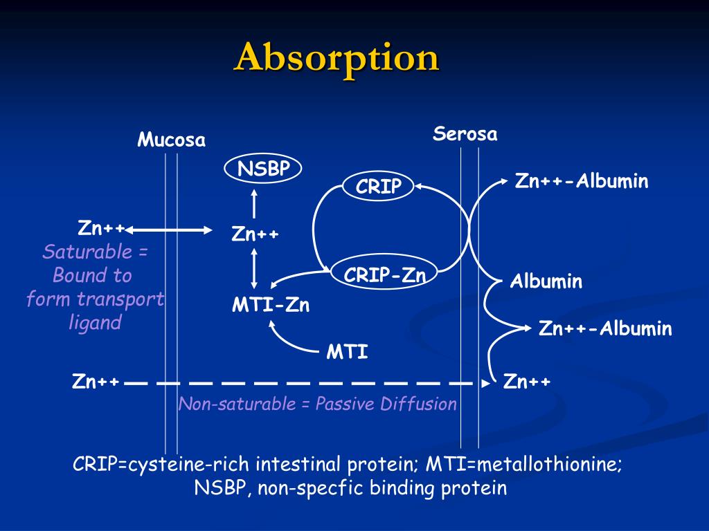 PPT Zinc PowerPoint Presentation, free download ID437685