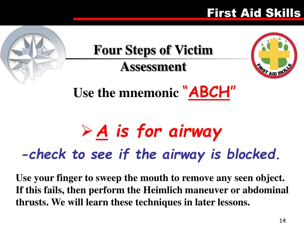 PPT First Aid Merit Badge PowerPoint Presentation, free download ID437867