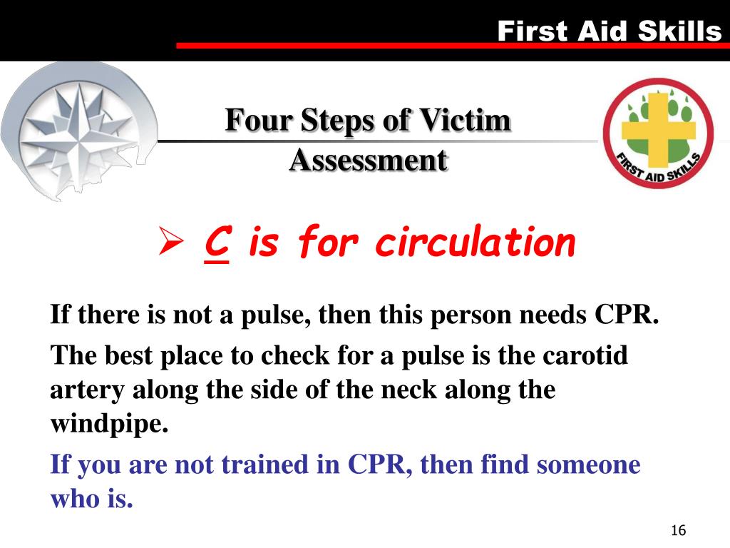 PPT First Aid Merit Badge PowerPoint Presentation, free download ID