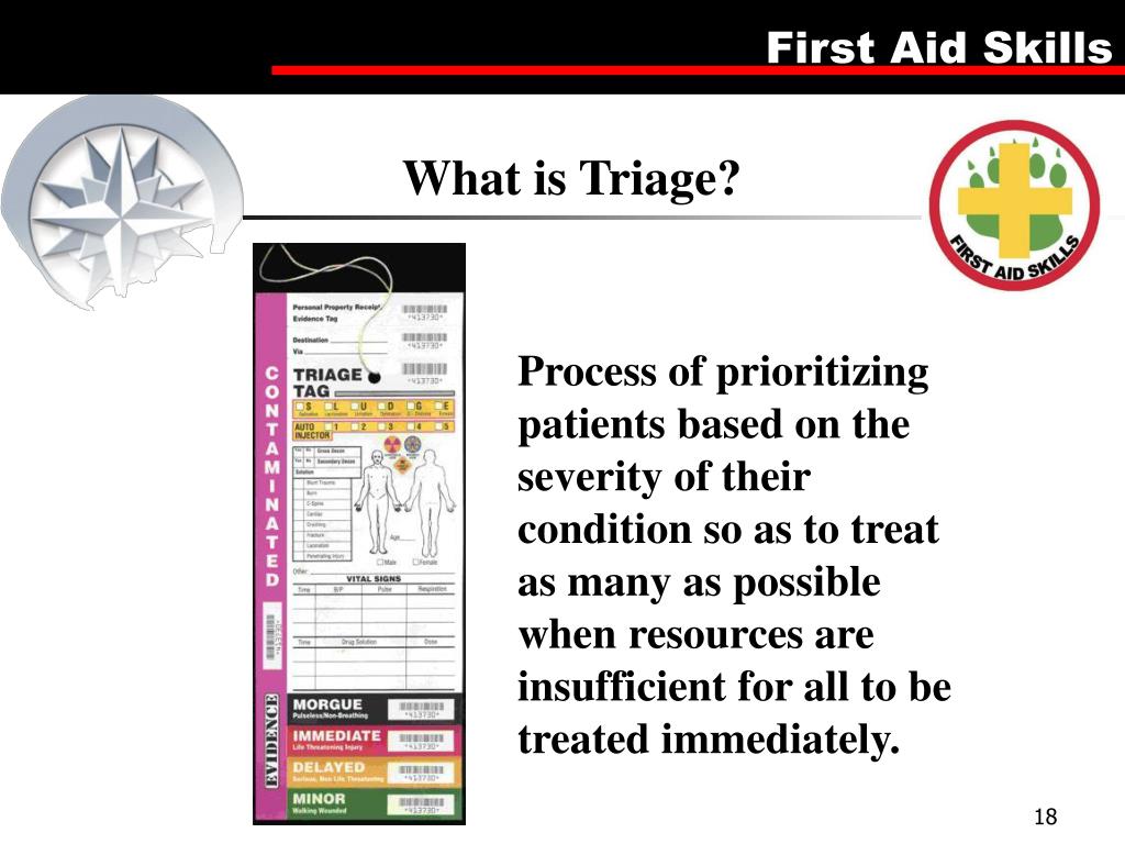 PPT First Aid Merit Badge PowerPoint Presentation, free download ID