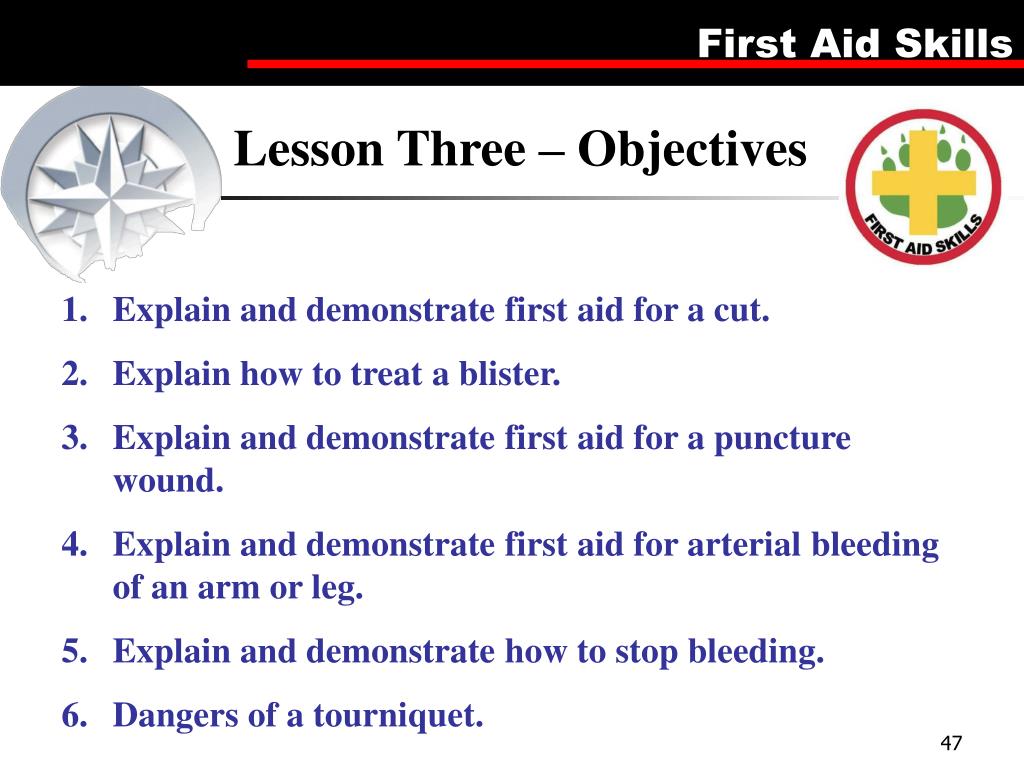 PPT First Aid Merit Badge PowerPoint Presentation, free download ID