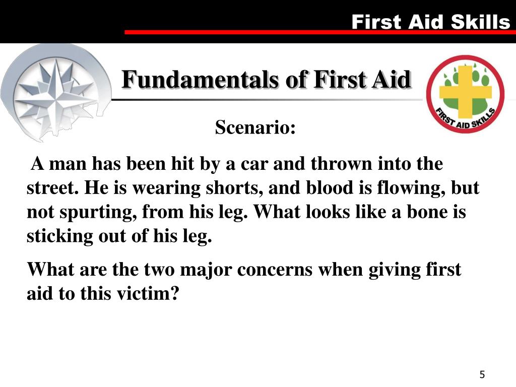 PPT First Aid Merit Badge PowerPoint Presentation, free download ID