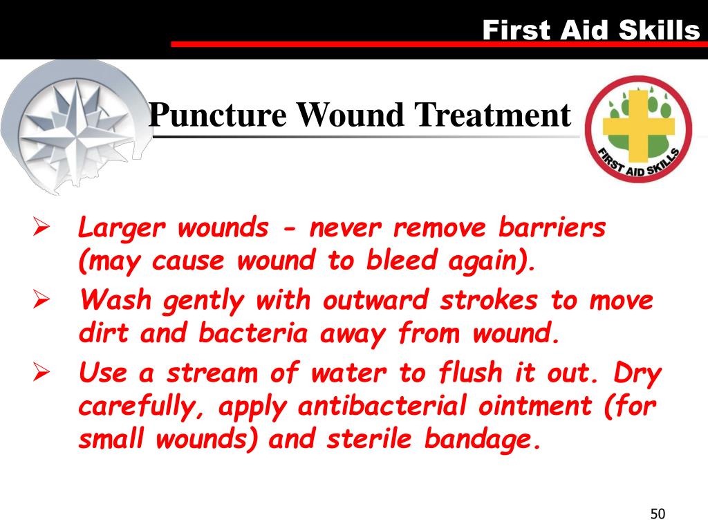 PPT First Aid Merit Badge PowerPoint Presentation, free download ID