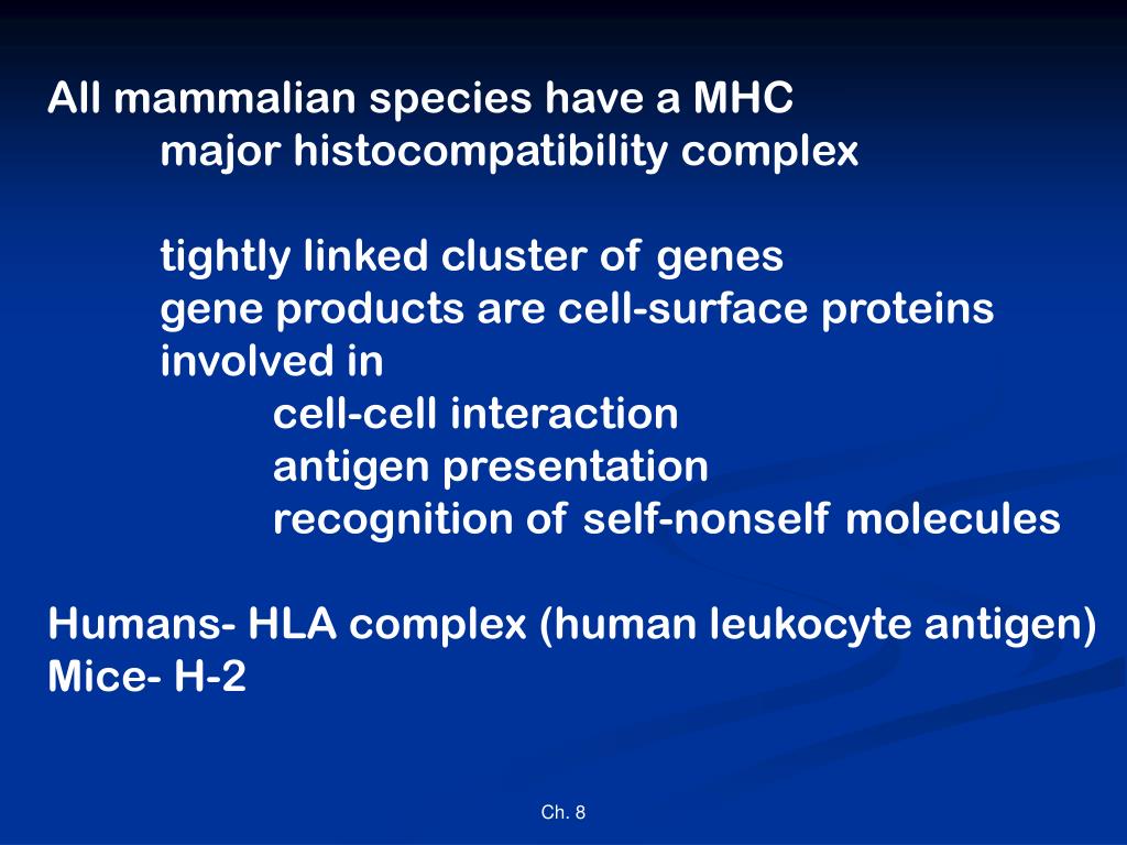 PPT Ch. 8. The Major Complex and Antigen