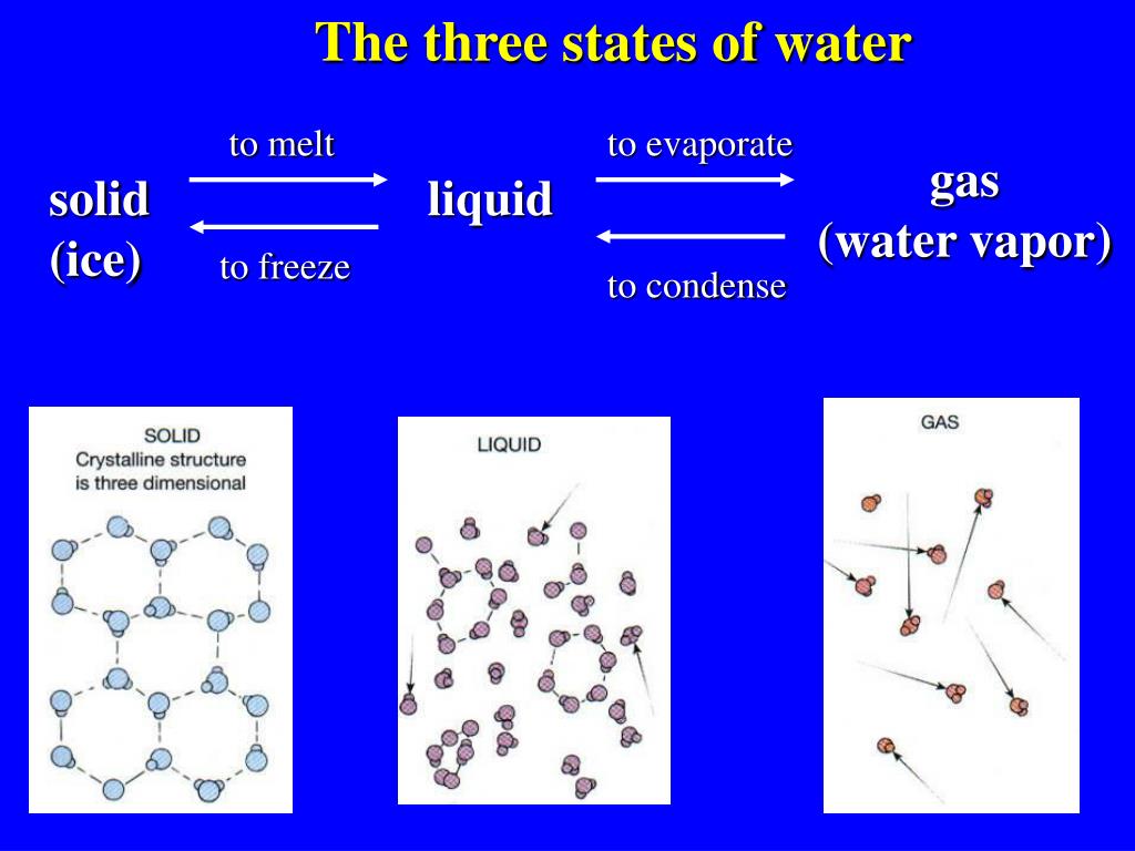 PPT Lecture 5 PowerPoint Presentation, free download ID442102