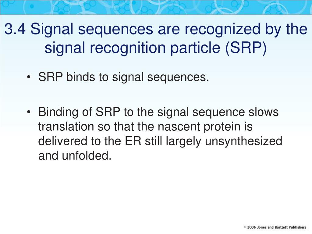 PPT Chapter 3 PowerPoint Presentation, free download ID442300