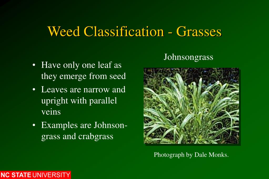 PPT Herbicides PowerPoint Presentation, free download ID442523