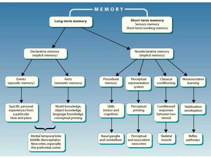 PPT severe anterograde amnesia temporally graded retrograde amnesia